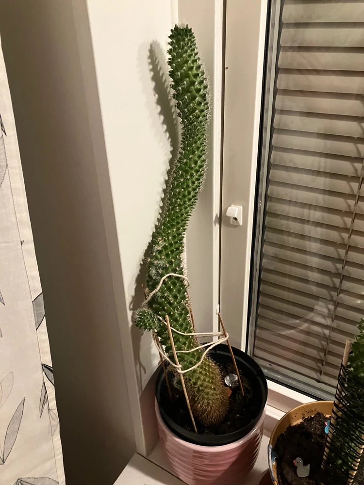 Bild uppladdad av Tove