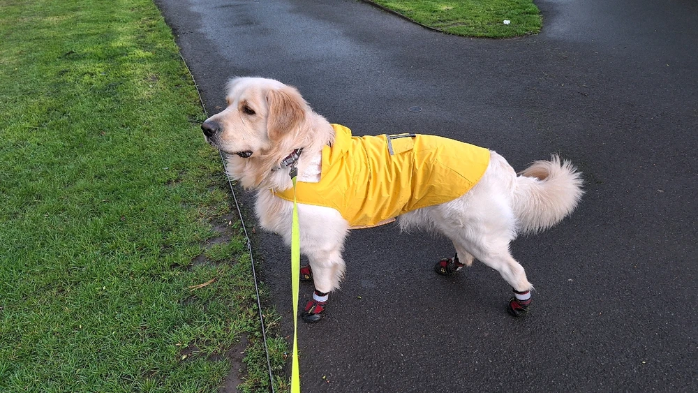 Image uploaded by Kivanc