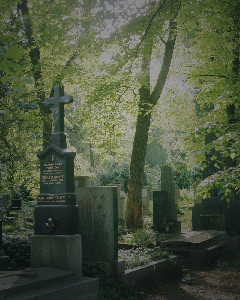 Obrázek nahrál Kateřina