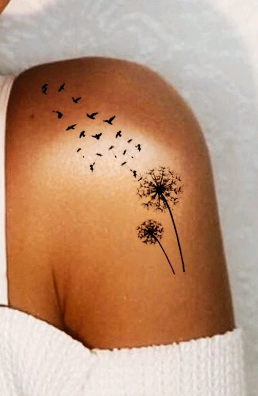 Image uploaded by Jean