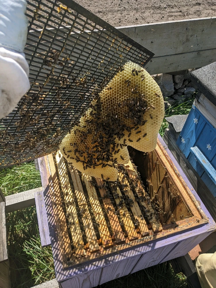 Zdjęcie dodane przez Krystian