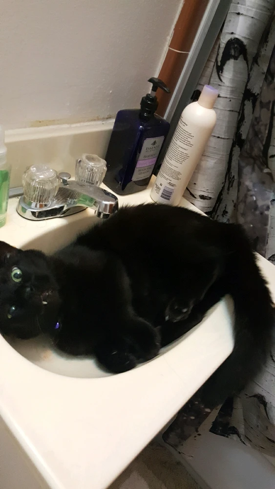 Image uploaded by Jeremy