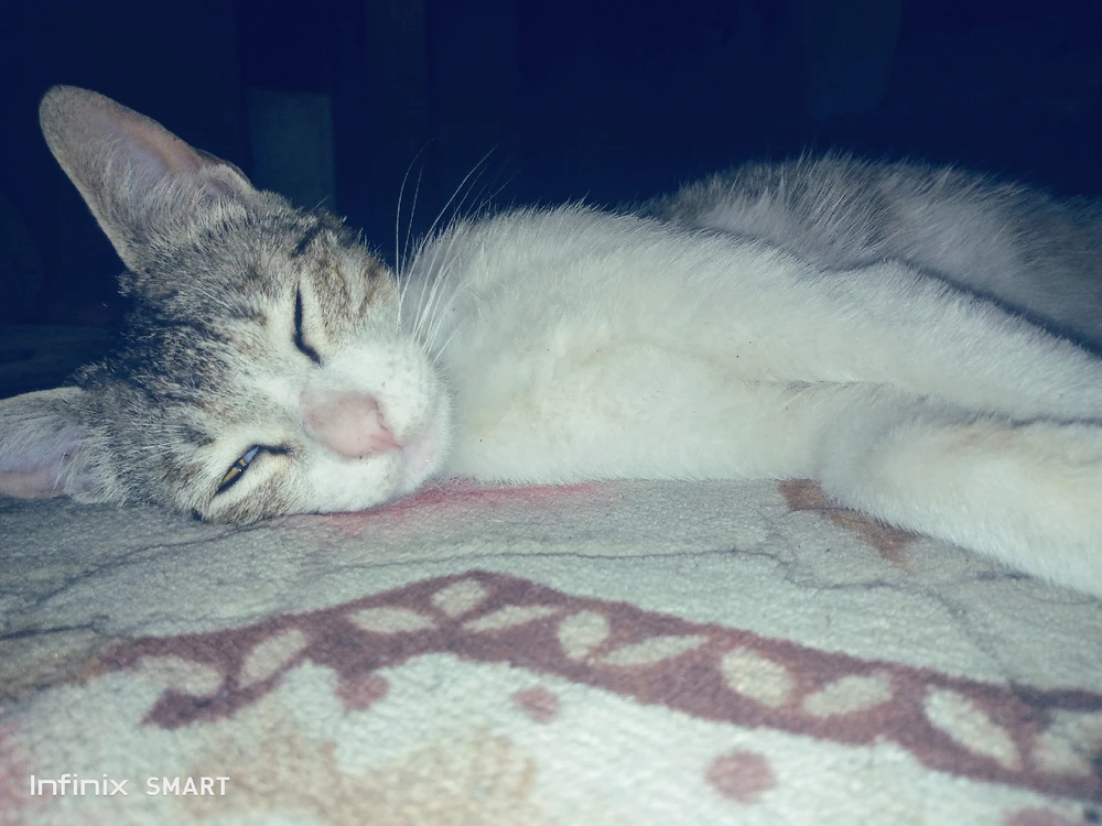 Image uploaded by Nadeem