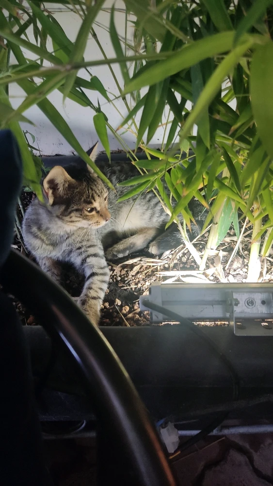 تصویر آپلود شده توسط Nimil