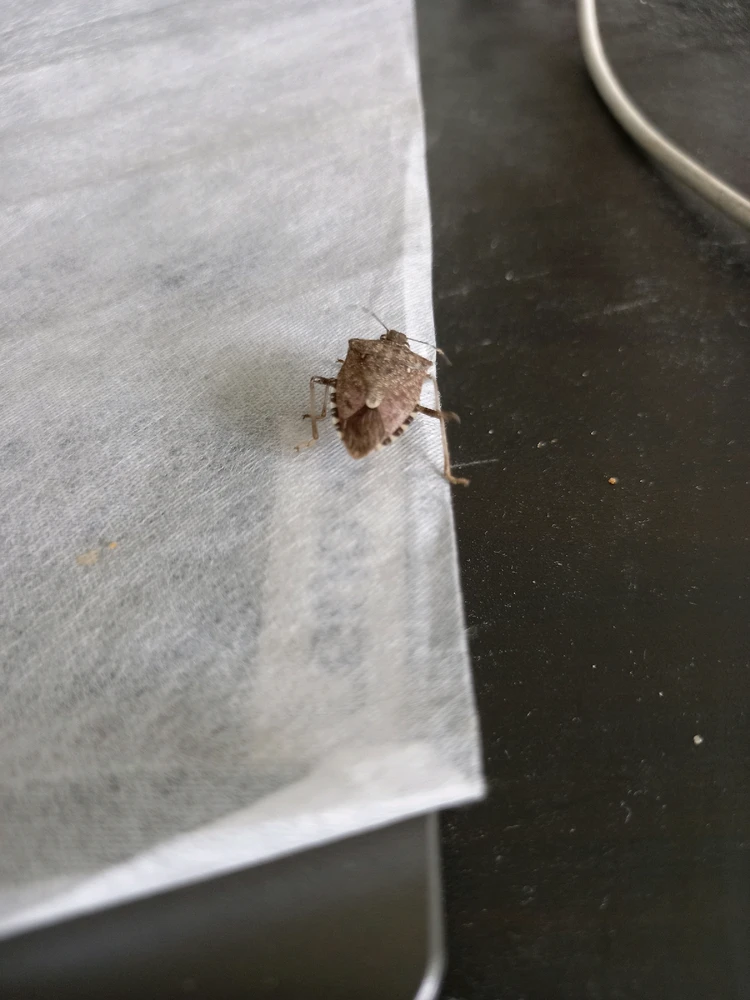 Obrázek nahrál Svatava