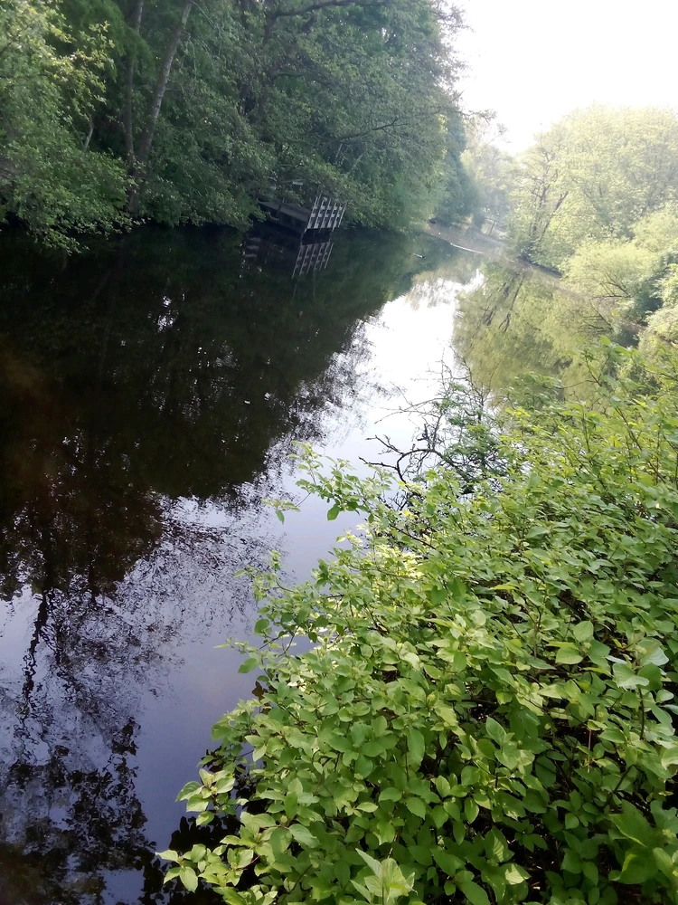 Image uploaded by Stirba