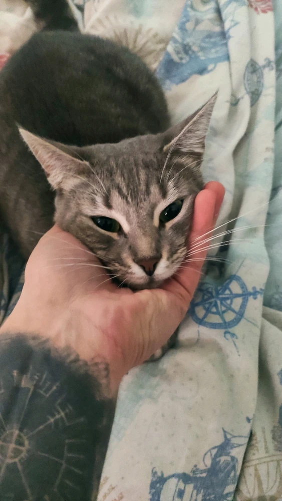 Oğuzhan tarafından yüklenen görsel