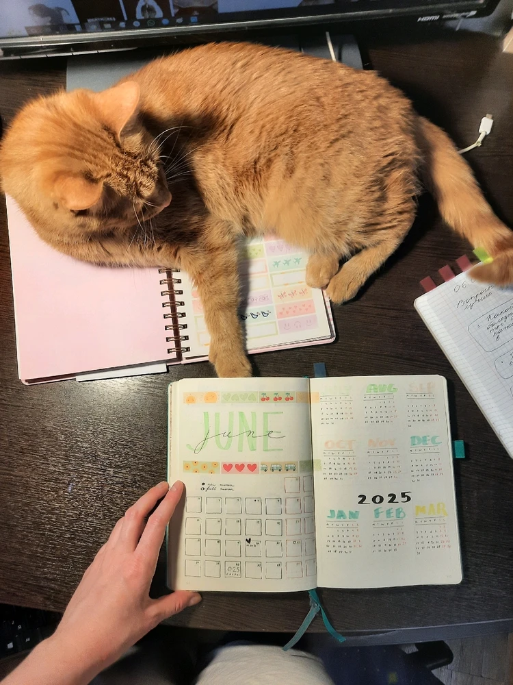 Фото загрузил Ксения