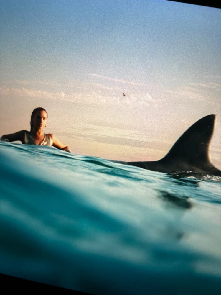 Immagine caricata da Andrea