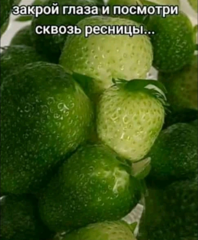 Фото загрузил 𝓐𝓽𝓽𝓮𝓵𝓸𝓲𝓿