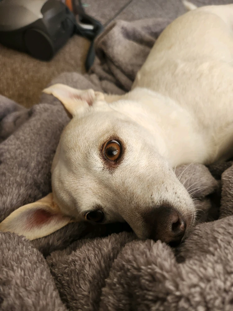 Image uploaded by Amber