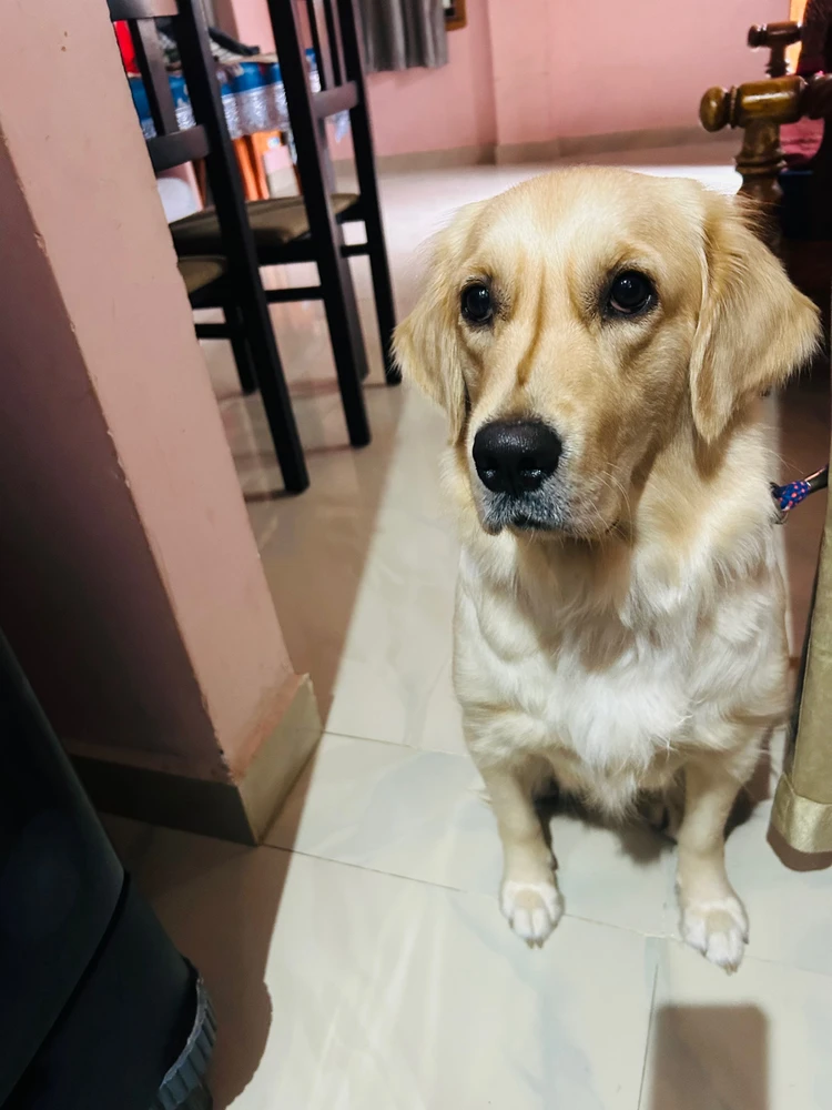 Image uploaded by Rajesh S