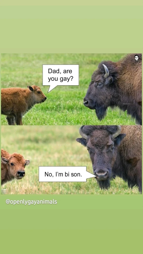 Obrázek nahrál Jakub