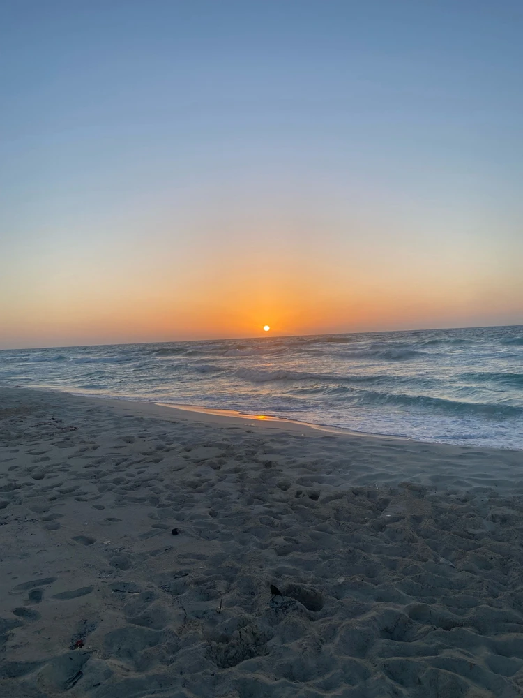 Image uploaded by Yousry