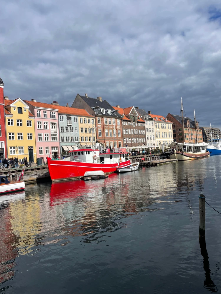 Imagem enviada por Grazi