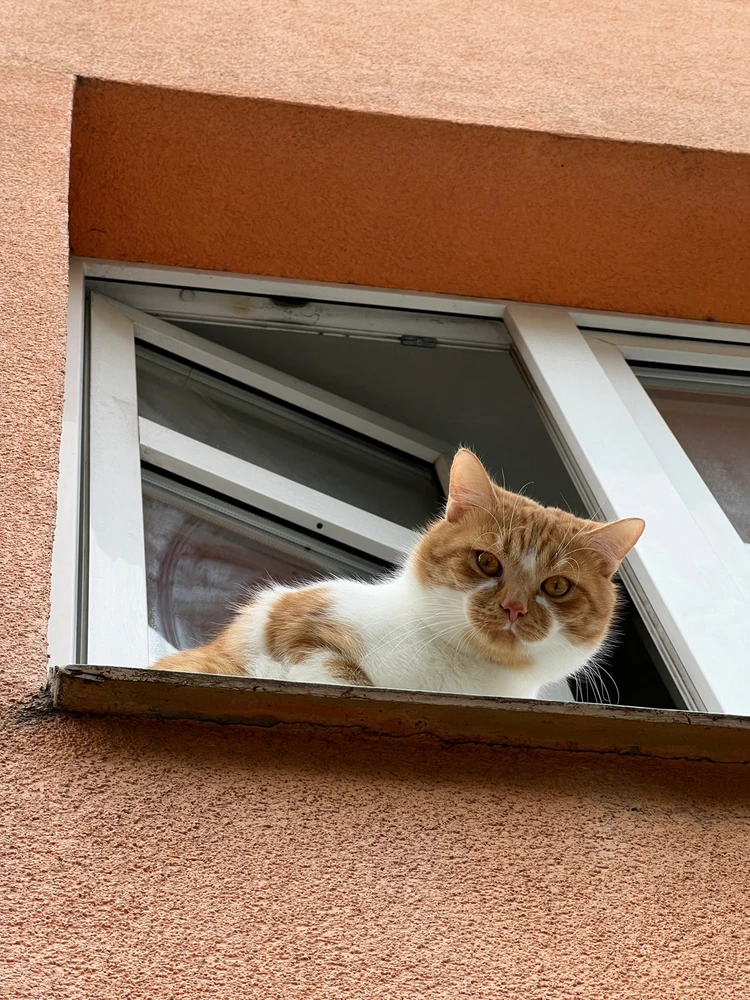 Obrázek nahrál Filip