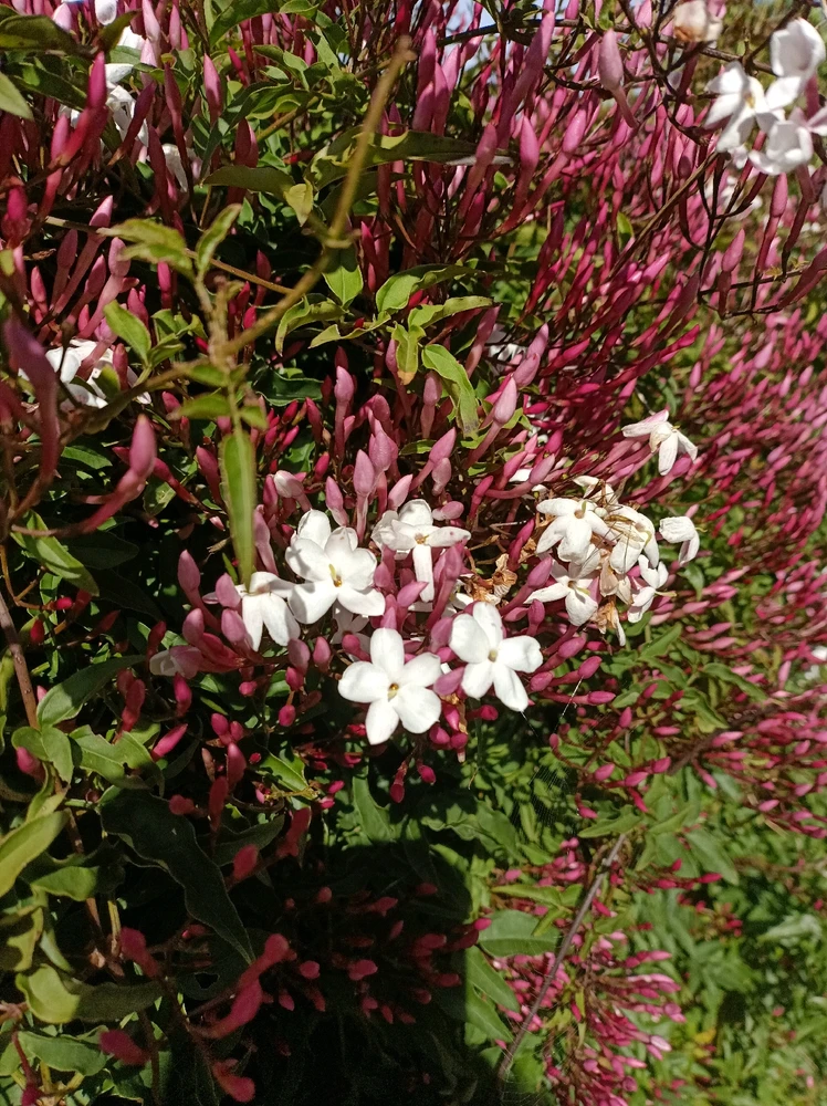 Immagine caricata da Alessio