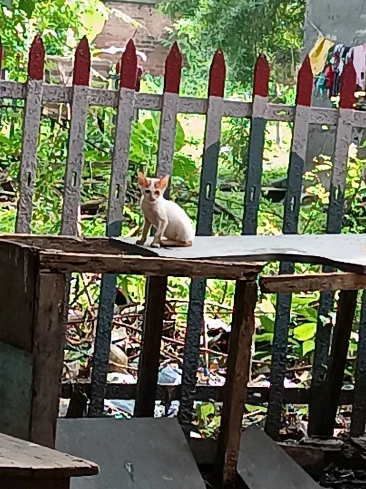 Shivam பதிவேற்றிய படம்