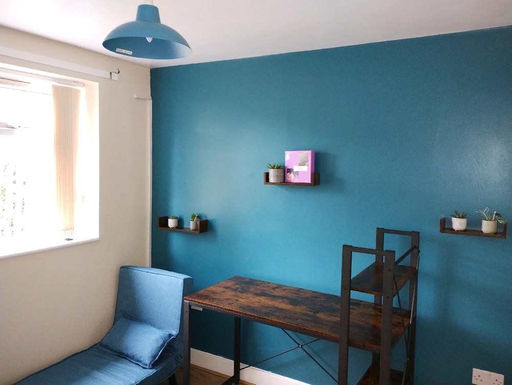 Teal wall, sofa bed, dark rustic wood finish desk and shelving, succulent plants in 3 floating shelves