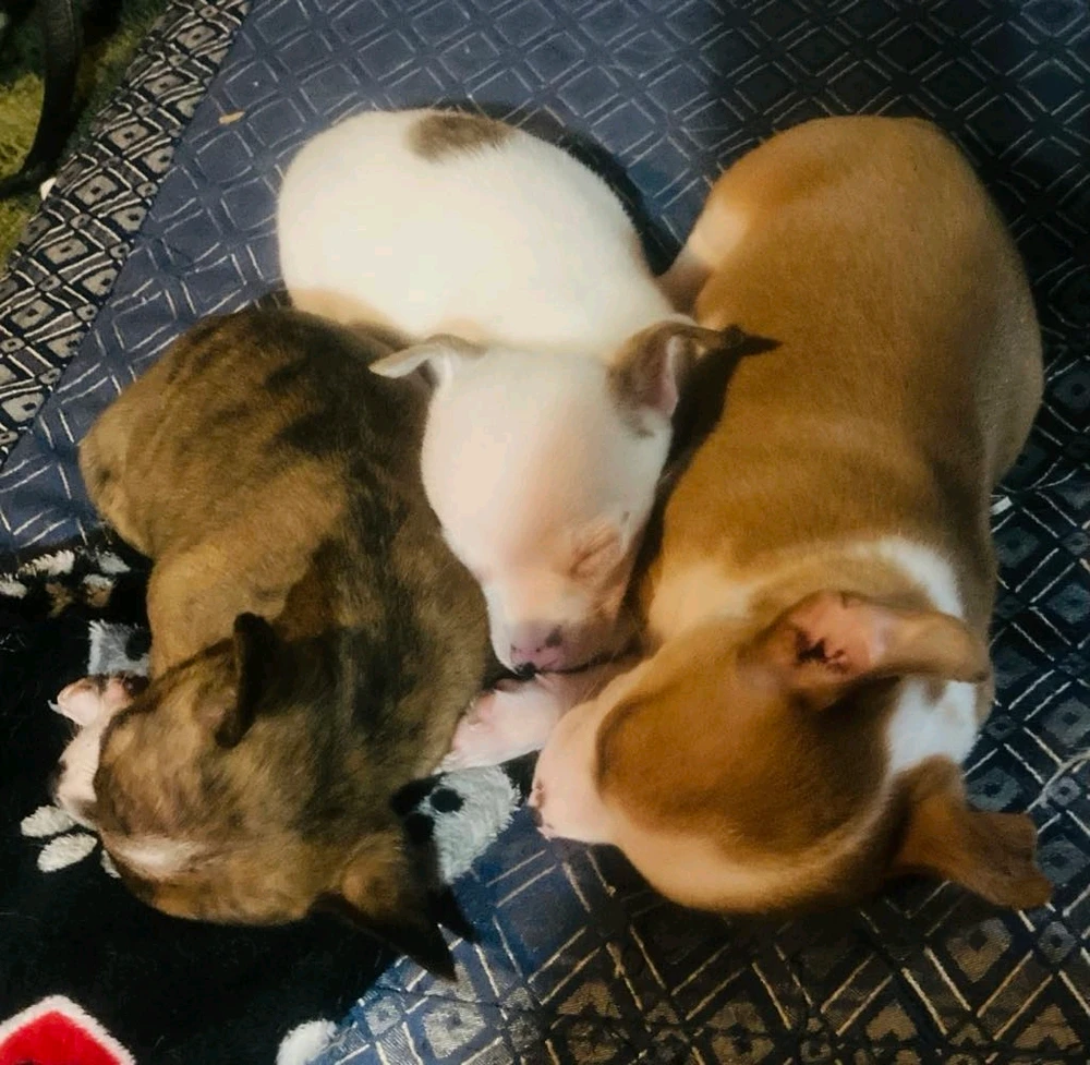 Image uploaded by Avery