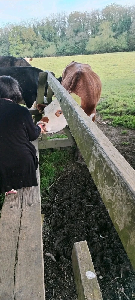 GIF uploaded by TᕔꕷᙁĬᙏ ᕓꗛRꗞᙁĬᙅᕔ