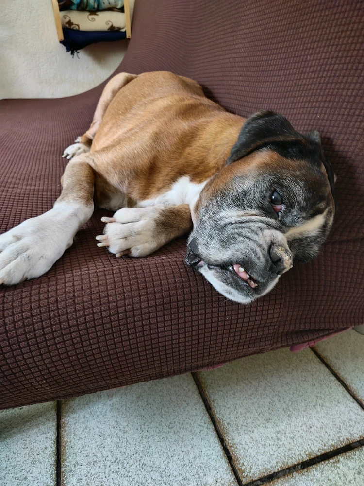 Immagine caricata da Simone