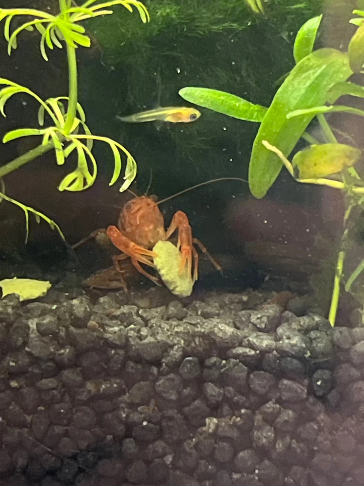 Bild hochgeladen von Thomas