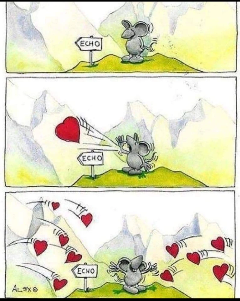 Image ajoutée par Mu 🌿