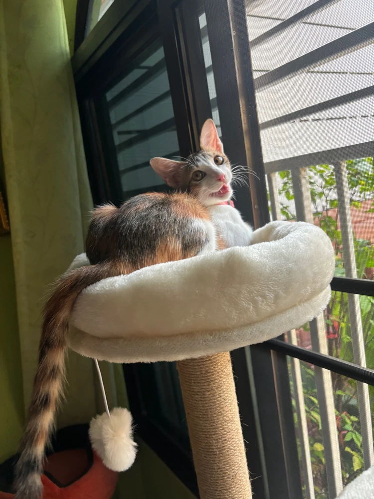 Image uploaded by Pat♡