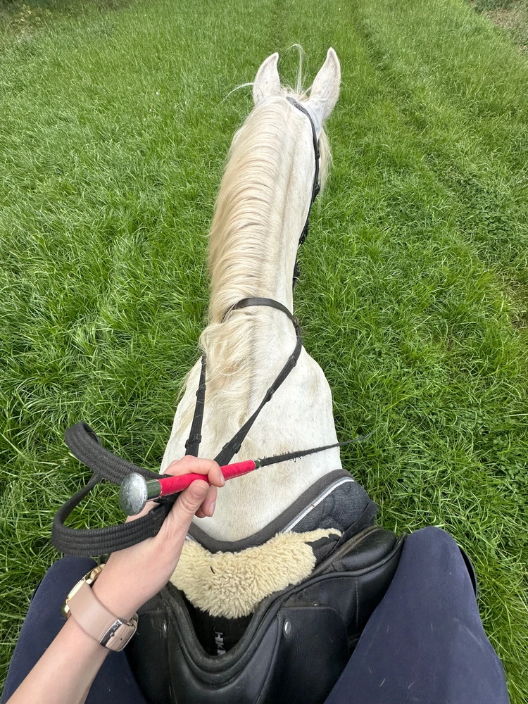 Obrázek nahrál Eliška