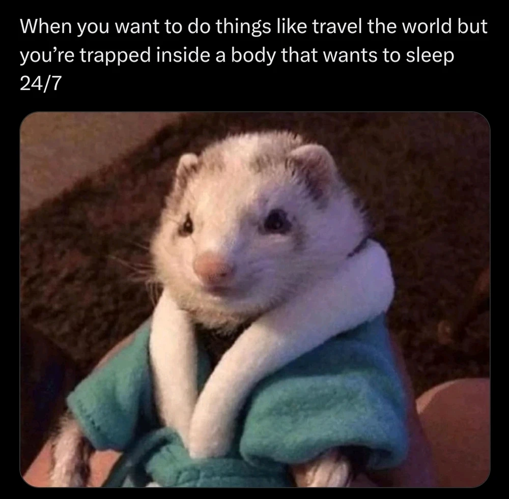 Image uploaded by 𔓎ꑀꌅ꒐ꈵꁲ𔓎