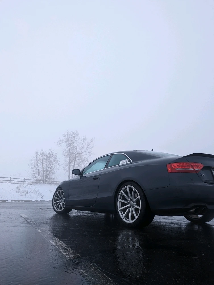 Image uploaded by Koi