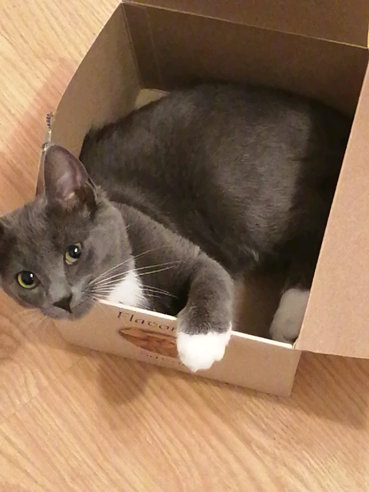 Image ajoutée par Laurianne