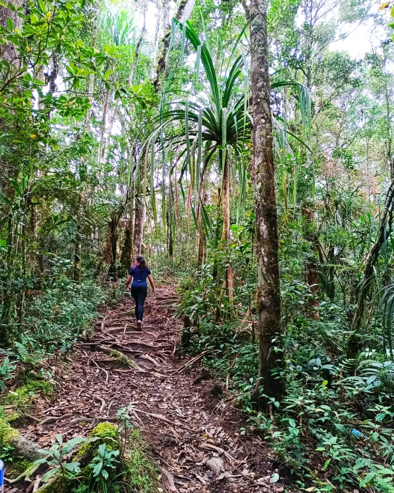 Image uploaded by emjay