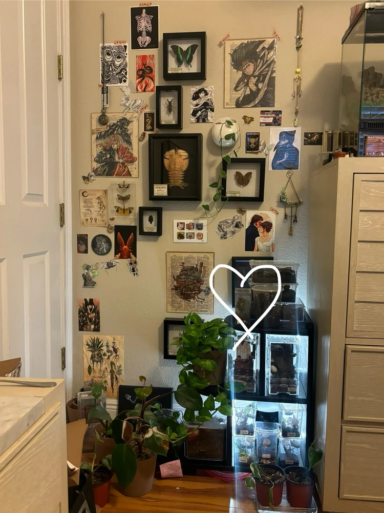 Image uploaded by Alyssa