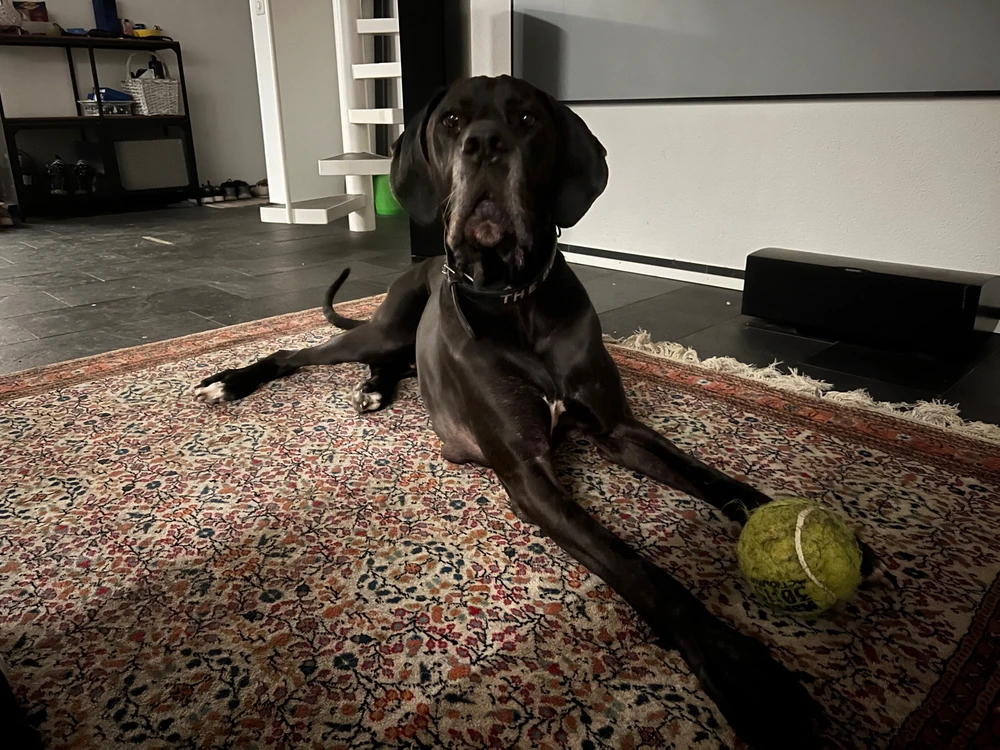 Bild hochgeladen von Marcos