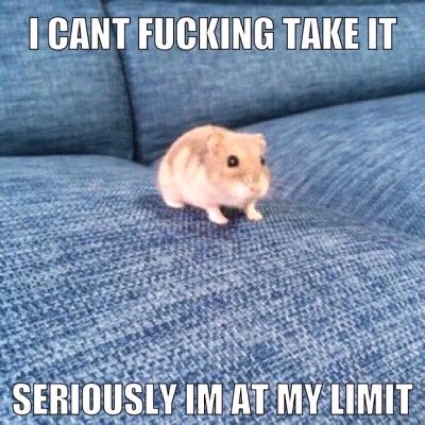 Image uploaded by YooJin