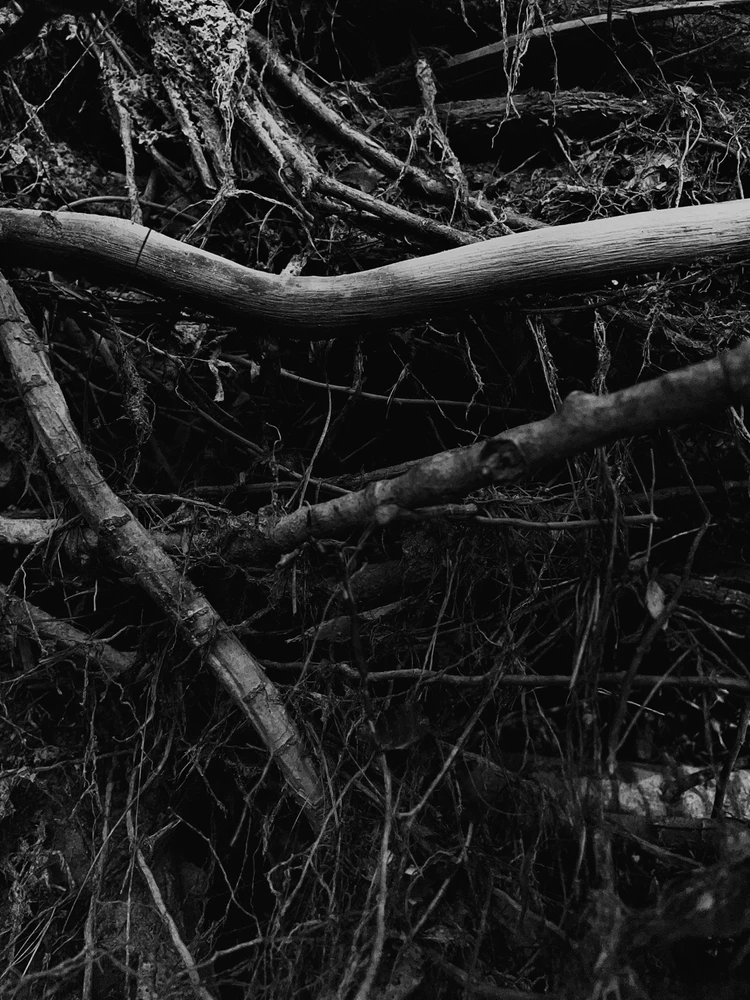 Immagine caricata da Federico