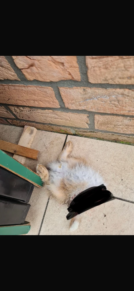 Ich glaub die Werksgarantie ist abgelaufen…