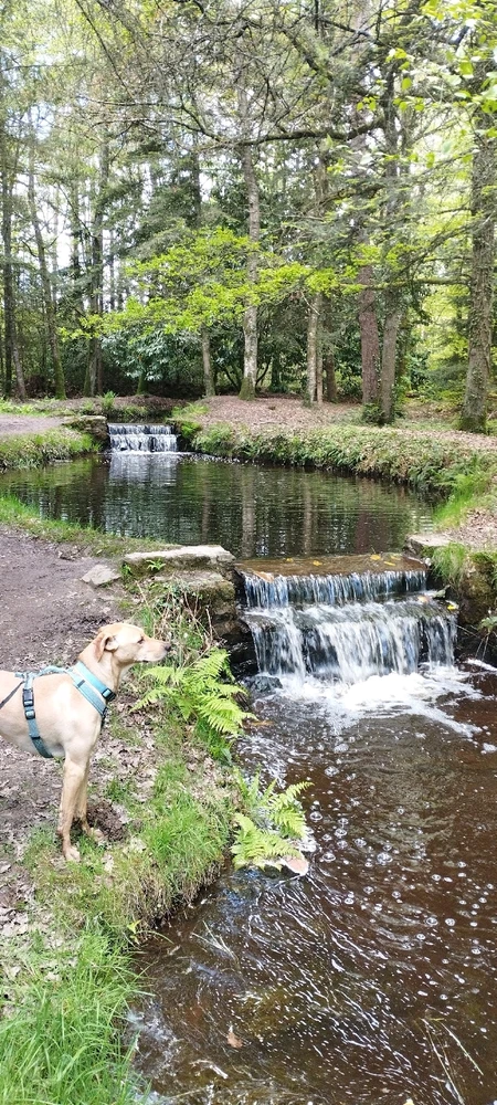 Image ajoutée par MarjoBingo