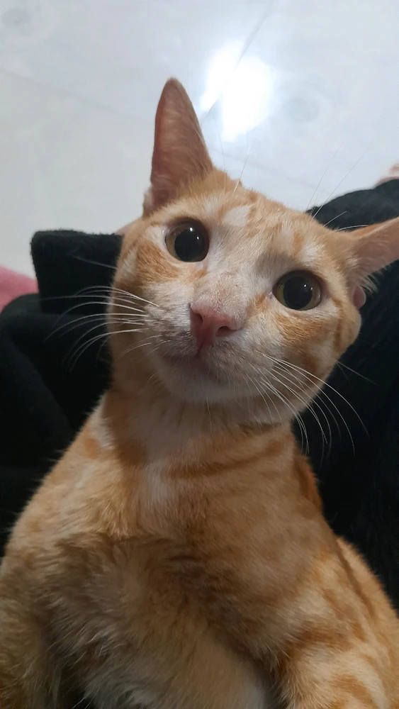 Ảnh do Phựnn🖤 tải lên