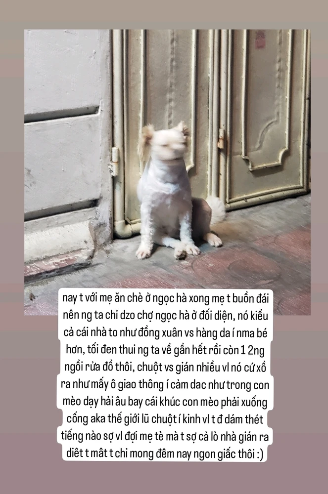 Ảnh do Phuong tải lên