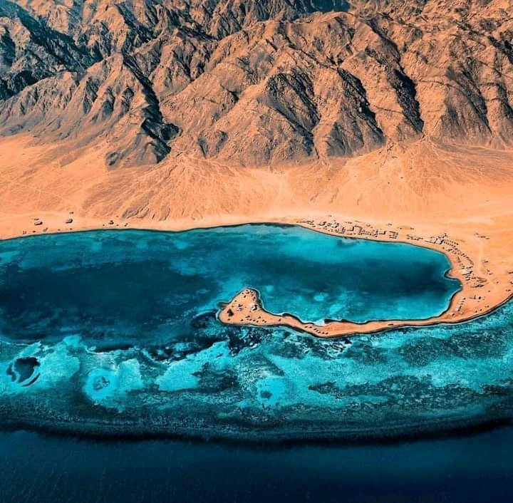 Image uploaded by Mohamed Elbehery