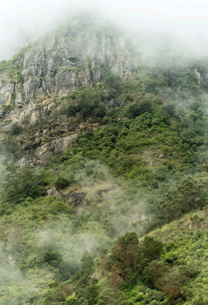 Image uploaded by Peony