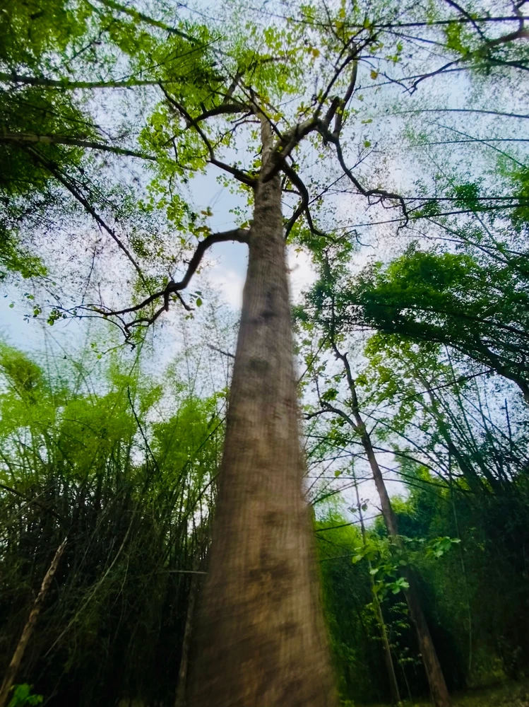 Image uploaded by SHAHIR