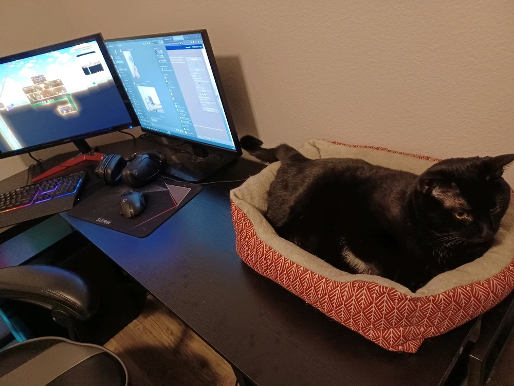 Kitty sleeping in her bed on my desk while I game.