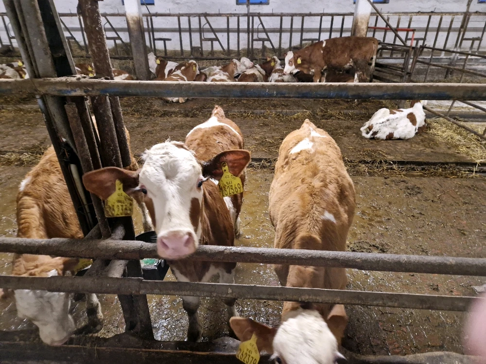 Obrázek nahrál Nikky