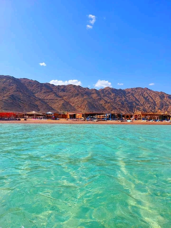 Image uploaded by Mohamed Elbehery