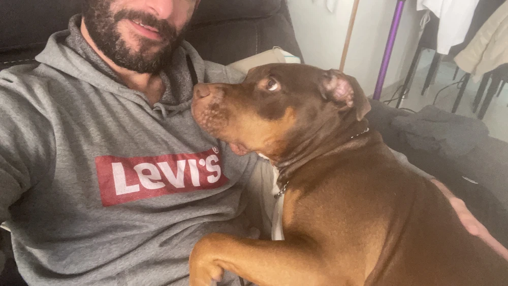 תמונה שהועלתה על ידי michael