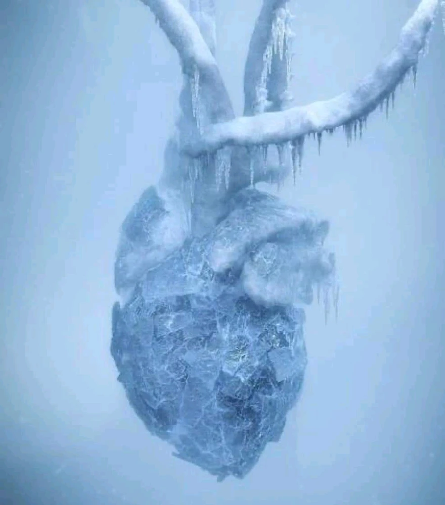 Fronzen heart 